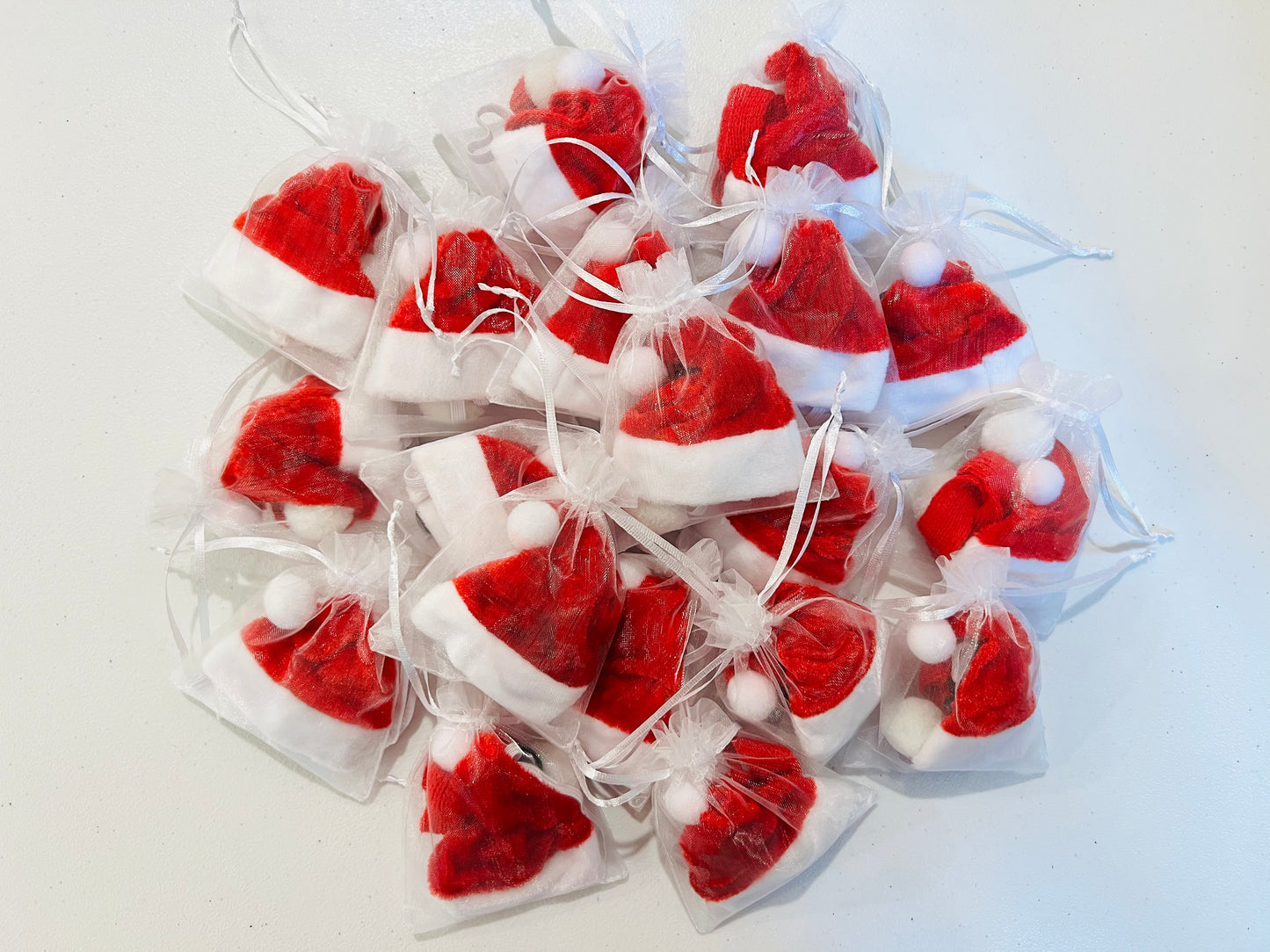 Roscoe Plushy Christmas Hat and Scarf